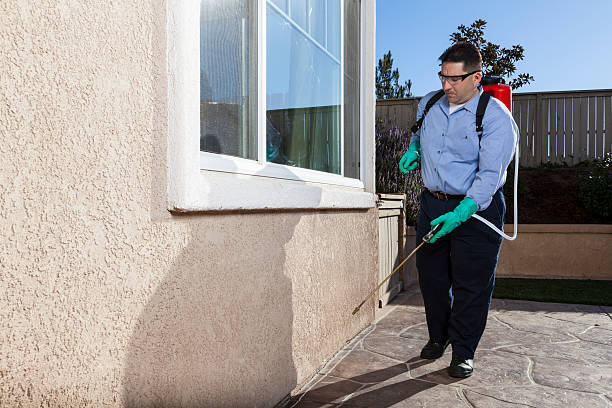 Pest Control for Warehouses in San Marcos, TX